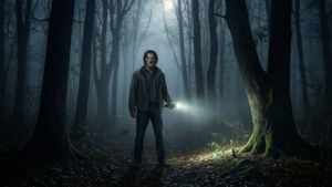 Foggy Forest Wanderer