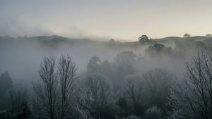 Foggy Hills Monochrome