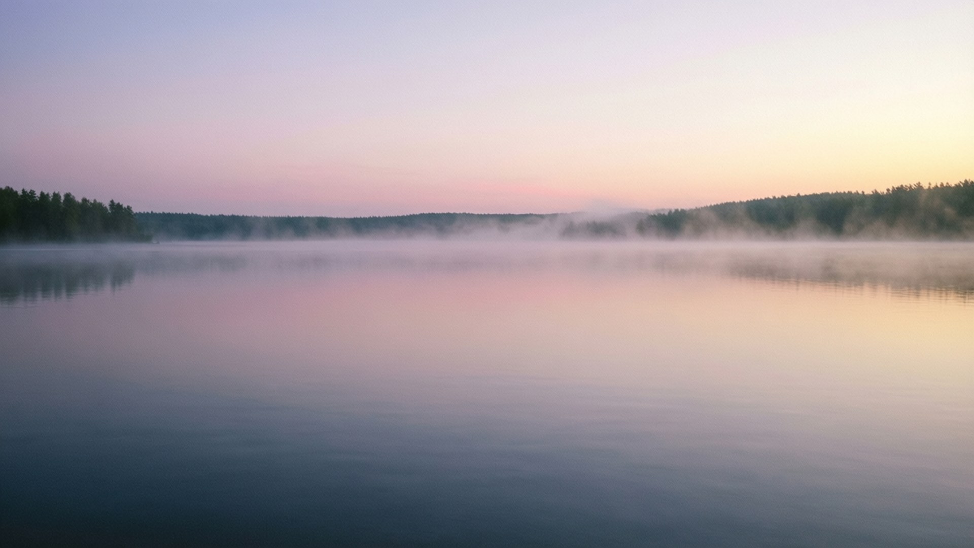 Foggy Lake at Dawn by Wallpapers.art Studio