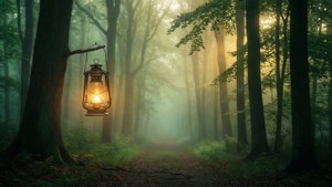 Foggy Lantern