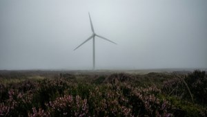 Foggy Moor Turbine