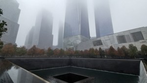 Foggy Morning