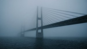 Foggy Morning Crossing