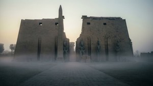 Foggy Morning