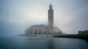 Foggy Morning Mist