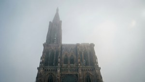 Foggy Morning Mystery