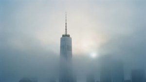 Foggy Morning Silhouette