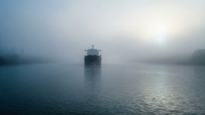 Foggy Morning Transit