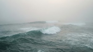 Foggy Ocean