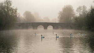 Foggy Roer Morning