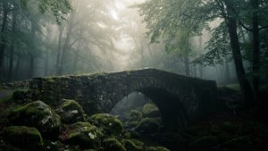 Foggy Stone Bridge