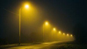 Foggy Street Lamps