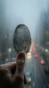 Foggy Thumbprint Glass