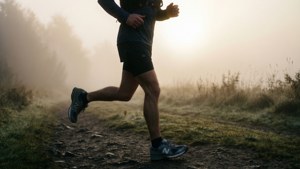 Foggy Trail Runner