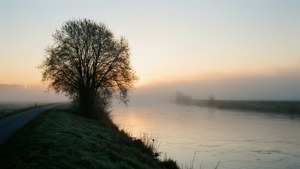 Foggy Waal Sunrise