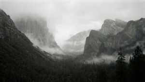 Foggy Yosemite Valley