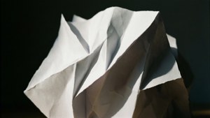 Folded Paper Sculpture