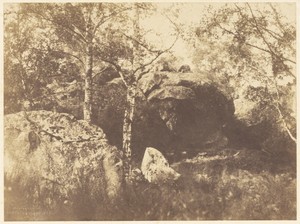 Fontainebleau