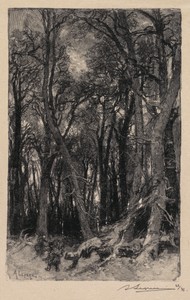 Fontainebleau Forest: Bas-Bréau (La Forêt de Fontainebleau: Le Bas-Bréau)
