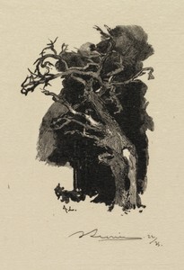 Fontainebleau Forest: The Raging One (La Forêt de Fontainebleau: Le rageur)