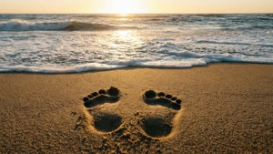 Footprints in Sand