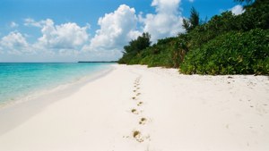 Footprints in the Sand