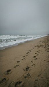 Footprints on the Beach