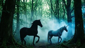 Forbidden Forest Creatures