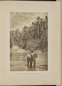 Fording the Kelani at Ruanwella