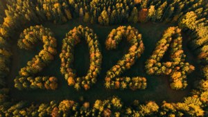 Forest 2024 Aerial