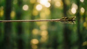 Forest Bokeh Arrow