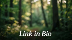 Forest Bokeh Link