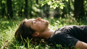 Forest Breath of Fresh Air