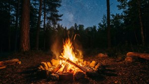 Forest Campfire Glow