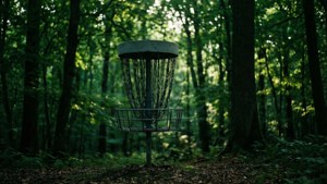 Forest Canopy Basket