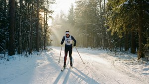 Forest Cross-Country