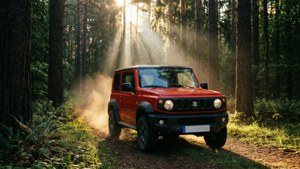 Forest Dawn Drive