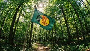 Forest Flag Breeze