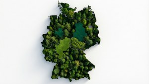 Forest Germany Map