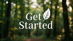 Forest Get Started