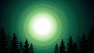 Forest Glow Radial