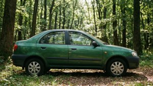 Forest Green Lanos