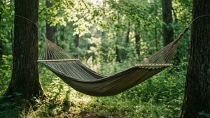 Forest Hammock Dappled Light