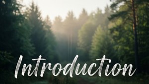 Forest Introduction Script