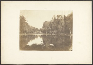[Forest lake]