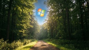 Forest Light Windows