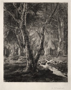 Forest of Pierrefonds