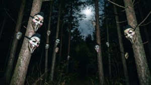 Forest of Purge Masks