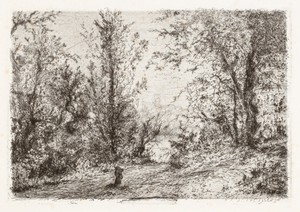 Forest on Lago Maggiore [Foresta sul Lago Maggiore]