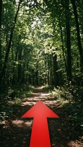Forest Path Arrow